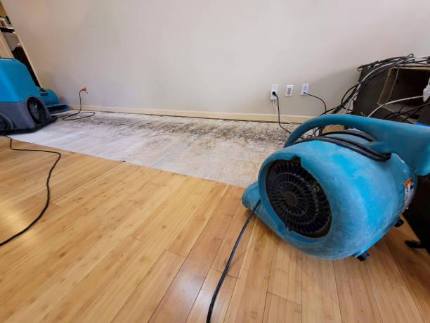 Reliable Basement Flood Cleanup contractor in Newaygo, MI by Hirex Water Damage
