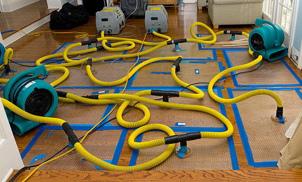 Professional Basement Flood Cleanup technician working in Newaygo, MI